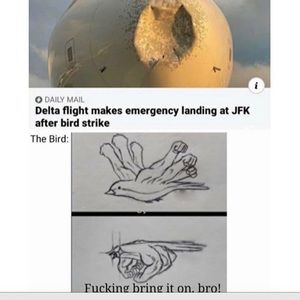 Meet your Posher, Marc